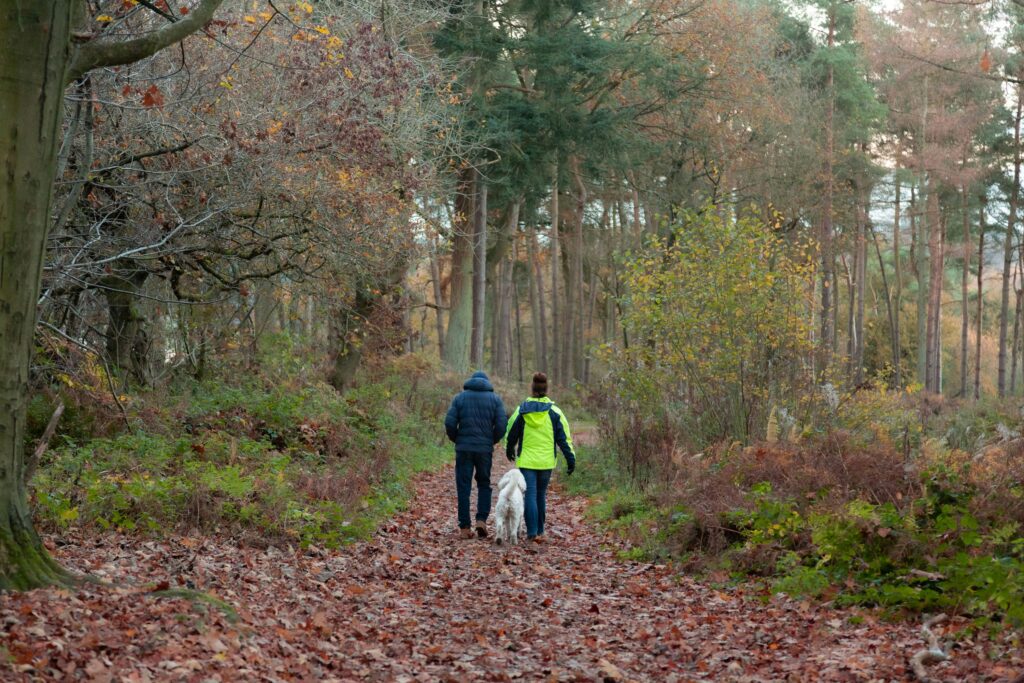 wandelschema voor beginners