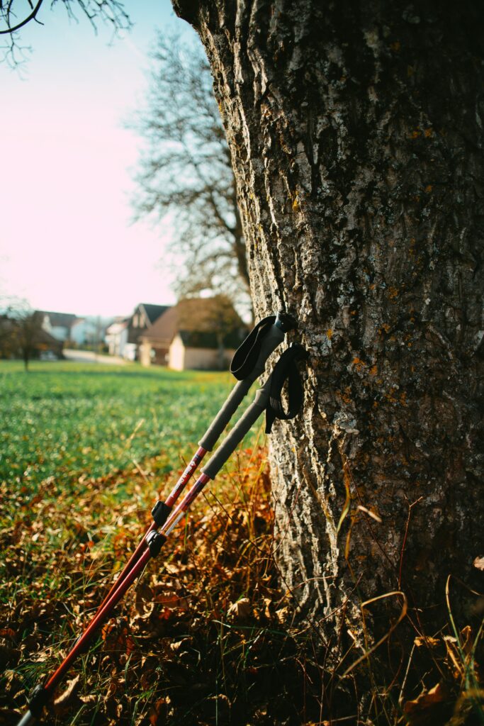 wandelstokken