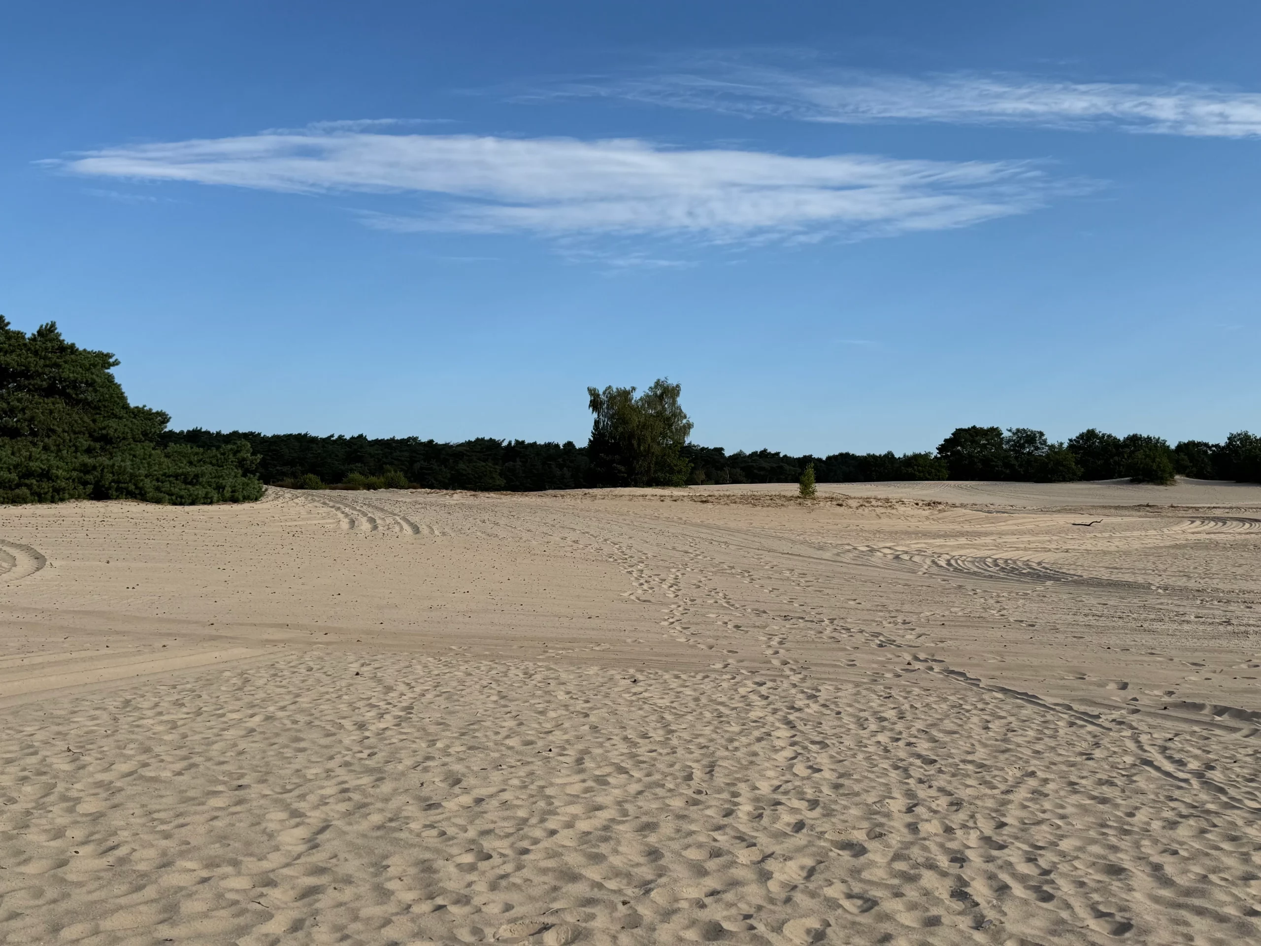 Wandelroute Soesterduinen — uitzicht over de zandverstuiving van de Lange Duinen